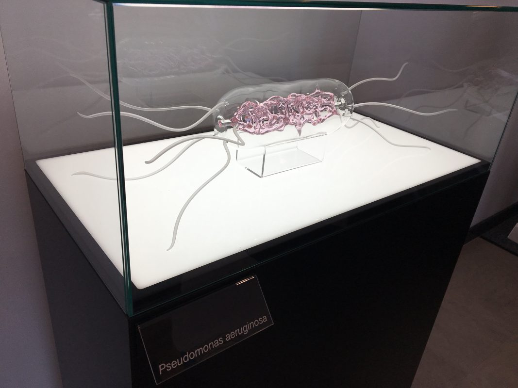 Glass microbe sculpture